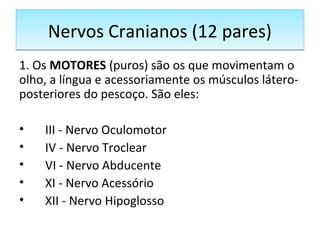 Nervos Cranianos (12 pares)Nervos Cranianos (12 pares)
1. Os MOTORES (puros) são os que movimentam o
olho, a língua e acessoriamente os músculos látero-
posteriores do pescoço. São eles:
• III - Nervo Oculomotor
• IV - Nervo Troclear
• VI - Nervo Abducente
• XI - Nervo Acessório
• XII - Nervo Hipoglosso
 