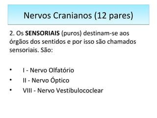 Nervos Cranianos (12 pares)Nervos Cranianos (12 pares)
2. Os SENSORIAIS (puros) destinam-se aos
órgãos dos sentidos e por isso são chamados
sensoriais. São:
• I - Nervo Olfatório
• II - Nervo Óptico
• VIII - Nervo Vestibulococlear
 