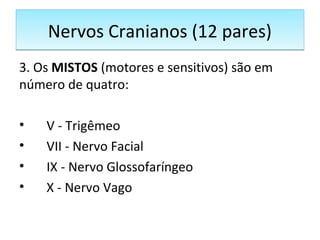 Nervos Cranianos (12 pares)Nervos Cranianos (12 pares)
3. Os MISTOS (motores e sensitivos) são em
número de quatro:
• V - Trigêmeo
• VII - Nervo Facial
• IX - Nervo Glossofaríngeo
• X - Nervo Vago
 