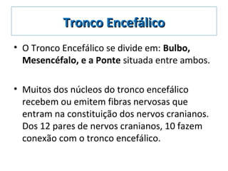 Tronco EncefálicoTronco Encefálico
• O Tronco Encefálico se divide em: Bulbo,
Mesencéfalo, e a Ponte situada entre ambos.
• Muitos dos núcleos do tronco encefálico
recebem ou emitem fibras nervosas que
entram na constituição dos nervos cranianos.
Dos 12 pares de nervos cranianos, 10 fazem
conexão com o tronco encefálico.
 