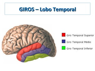 GIROS – Lobo TemporalGIROS – Lobo Temporal
 