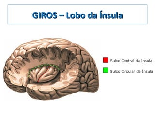 GIROS – Lobo da ÍnsulaGIROS – Lobo da Ínsula
 