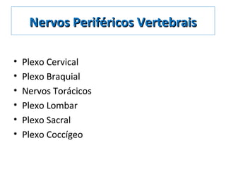 Nervos Periféricos VertebraisNervos Periféricos Vertebrais
• Plexo Cervical
• Plexo Braquial
• Nervos Torácicos
• Plexo Lombar
• Plexo Sacral
• Plexo Coccígeo
 