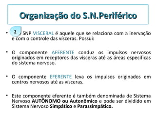 • 2. O SNP VISCERAL é aquele que se relaciona com a inervação
e com o controle das vísceras. Possui:
• O componente AFERENTE conduz os impulsos nervosos
originados em receptores das vísceras até as áreas especificas
do sistema nervoso.
• O componente EFERENTE leva os impulsos originados em
centros nervosos até as vísceras.
• Este componente eferente é também denominada de Sistema
Nervoso AUTÔNOMO ou Autonômico e pode ser dividido em
Sistema Nervoso Simpático e Parassimpático.
22
Organização do S.N.PeriféricoOrganização do S.N.Periférico
 
