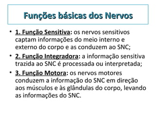 Funções básicas dos NervosFunções básicas dos Nervos
• 1. Função Sensitiva: os nervos sensitivos
captam informações do meio interno e
externo do corpo e as conduzem ao SNC;
• 2. Função Integradora: a informação sensitiva
trazida ao SNC é processada ou interpretada;
• 3. Função Motora: os nervos motores
conduzem a informação do SNC em direção
aos músculos e às glândulas do corpo, levando
as informações do SNC.
 