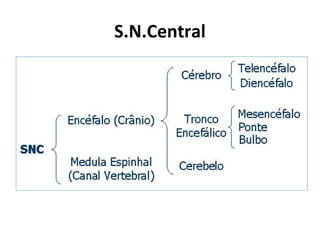 S.N.Central
 