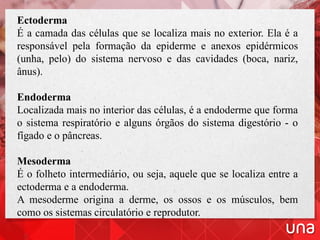 Endoderma Ne Rrenje Sistema nervoso embriologia e tecidos intro | PDF