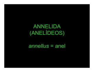 ANNELIDA
(ANELÍDEOS)

annellus = anel
 