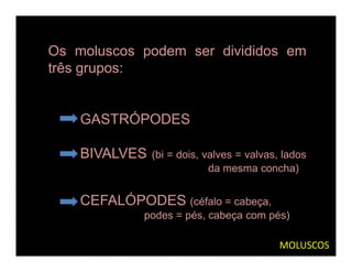 Os moluscos podem ser divididos em
três grupos:


    GASTRÓPODES

    BIVALVES   (bi = dois, valves = valvas, lados
                            da mesma concha)


    CEFALÓPODES (céfalo = cabeça,
             podes = pés, cabeça com pés)

                                           MOLUSCOS
 