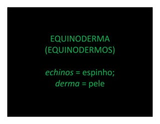 EQUINODERMA
(EQUINODERMOS)

echinos = espinho;
  derma = pele
 