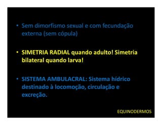 • Sem dimorfismo sexual e com fecundação
  externa (sem cópula)

• SIMETRIA RADIAL quando adulto! Simetria
  bilateral quando larva!

• SISTEMA AMBULACRAL: Sistema hídrico
  destinado à locomoção, circulação e
  excreção.

                                  EQUINODERMOS
 