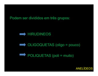 Podem ser divididos em três grupos:



          HIRUDINEOS

          OLIGOQUETAS (oligo = pouco)

          POLIQUETAS (poli = muito)


                                      ANELÍDEOS
 