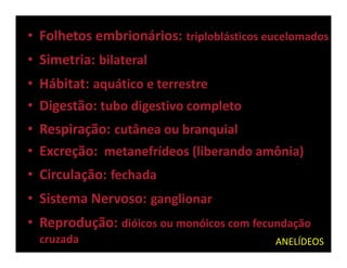 • Folhetos embrionários: triploblásticos eucelomados
• Simetria: bilateral
• Hábitat: aquático e terrestre
• Digestão: tubo digestivo completo
• Respiração: cutânea ou branquial
• Excreção: metanefrídeos (liberando amônia)
• Circulação: fechada
• Sistema Nervoso: ganglionar
• Reprodução: dióicos ou monóicos com fecundação
  cruzada                                 ANELÍDEOS
 