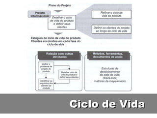 Ciclo de Vida 
