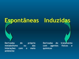 Derivadas do próprio
metabolismo ou das
interações com o meio
ambiente
Derivadas do tratamento
com agentes físicos e
químicos
Espontâneas Induzidas
 