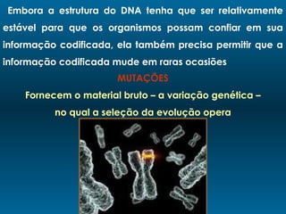 Embora a estrutura do DNA tenha que ser relativamente
estável para que os organismos possam confiar em sua
informação codificada, ela também precisa permitir que a
informação codificada mude em raras ocasiões
MUTAÇÕES
Fornecem o material bruto – a variação genética –
no qual a seleção da evolução opera
 
