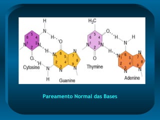 Pareamento Normal das Bases
 