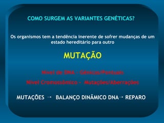 COMO SURGEM AS VARIANTES GENÉTICAS?
Os organismos tem a tendência inerente de sofrer mudanças de um
estado hereditário para outro
MUTAÇÃO
Nível de DNA – Gênicas/Pontuais
Nível Cromossômico - Mutações/Aberrações
MUTAÇÕES BALANÇO DINÂMICO DNA REPARO
 