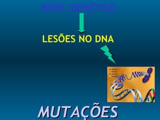 NÍVEL GENÉTICO
LESÕES NO DNA
MUTAÇÕESMUTAÇÕES
 