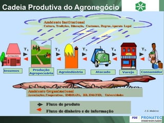 Cadeia Produtiva do Agronegócio
 