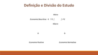 Definição e Divisão do Estudo 
 