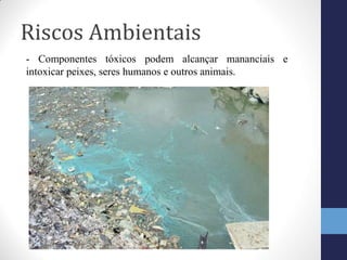 Riscos Ambientais
- Componentes tóxicos podem alcançar mananciais e
intoxicar peixes, seres humanos e outros animais.
 