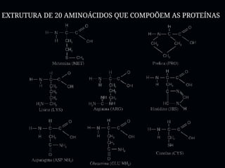 EXTRUTURA DE 20 AMINOÁCIDOS QUE COMPOÕEM AS PROTEÍNAS
 