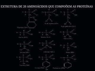 EXTRUTURA DE 20 AMINOÁCIDOS QUE COMPOÕEM AS PROTEÍNAS
 