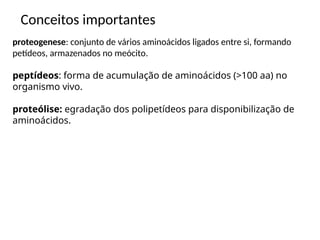 Conceitos importantes
proteogenese: conjunto de vários aminoácidos ligados entre si, formando
petídeos, armazenados no meócito.
peptídeos: forma de acumulação de aminoácidos (>100 aa) no
organismo vivo.
proteólise: egradação dos polipetídeos para disponibilização de
aminoácidos.
 