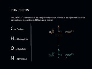 CONCEITOS
PROTEÍNAS: são moléculas de alto peso molecular, formadas pela polimerização de
aminoácidos e constituem 50% do peso celular.
C→ Carbono
H→ Hidrogênio
O→ Oxigênio
N→ Nitrogênio
α
2 1
 