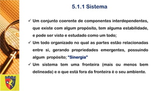 5.1.1 Sistema 
Umconjuntocoerentedecomponentesinterdependentes, queexistecomalgumpropósito,temalgumaestabilidade, epodeservistoeestudadocomoumtodo; 
Umtodoorganizadonoqualaspartesestãorelacionadasentresi,gerandopropriedadesemergentes,possuindoalgumpropósito;“Sinergia” 
Umsistematemumafronteira(maisoumenosbemdelineada)eoqueestáforadafronteiraéoseuambiente.  