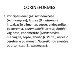 CORINEFORMESPrincipais doenças: Actinomicose (Actinomyces), Antraz (B. anthracis), Intoxicação alimentar, sepse, endocardite, bacteremia, pneumonia(B. cereus, Rothia), vaginose, endometrite (Gardnerella), meningite, sepse, aborto (Listeria), abcesso cerebral e pulmonar (Nocardia) ou agentes oportunistas (Streptomyces).