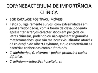 CORYNEBACTERIUM DE IMPORTÂNCIA CLÍNICABGP, CATALASE POSITIVAS, IMÓVEIS.Retos ou ligeiramente curvos, com extremidades em geral arredondadas, com a forma de clava, podendo apresentar arranjos característicos em paliçada ou letras chinesas, podendo ou não apresentar grânulos metacromáticos, que são melhores visualizados através da coloração de Albert-Laybourn, e que caracterizam as bactérias conhecidas como difteróides.C. diphtheriae, C. ulcerans - podem produzir a toxina diftérica.C. jeikeium – Infecções hospitalares