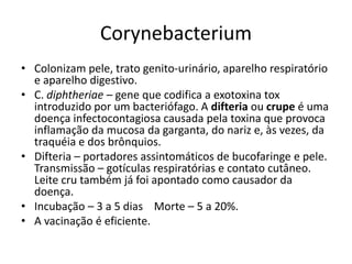 CorynebacteriumColonizam pele, trato genito-urinário, aparelho respiratório e aparelho digestivo.C. diphtheriae – gene que codifica aexotoxina tox introduzido por um bacteriófago. A difteria ou crupe é uma doença infectocontagiosa causada pela toxina que provoca inflamação da mucosa da garganta, do nariz e, às vezes, da traquéia e dos brônquios.Difteria – portadores assintomáticos de bucofaringe e pele. Transmissão – gotículas respiratórias e contato cutâneo. Leite cru também já foi apontado como causador da doença.Incubação – 3 a 5 dias    Morte – 5 a 20%.A vacinação é eficiente.