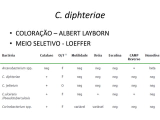 C. diphteriaeCOLORAÇÃO – ALBERT LAYBORNMEIO SELETIVO - LOEFFER