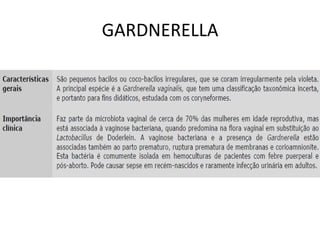 GARDNERELLA