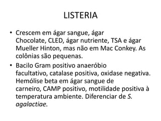 LISTERIACrescem em ágar sangue, ágar Chocolate, CLED, ágar nutriente, TSA e ágar Mueller Hinton, mas não em Mac Conkey. As colônias são pequenas.Bacilo Gram positivo anaeróbio facultativo, catalase positiva, oxidase negativa. Hemólise beta em ágar sangue de carneiro, CAMP positivo, motilidade positiva à temperatura ambiente. Diferenciar de S. agalactiae.
