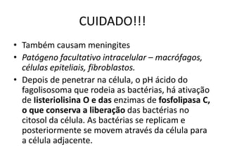 CUIDADO!!!Também causam meningitesPatógeno facultativo intracelular – macrófagos, células epiteliais, fibroblastos.Depois de penetrar na célula, o pH ácido do fagolisosoma que rodeia as bactérias, háativação de Iisteriolisina O e das enzimas de fosfolipasa C, o que conserva a liberaçãodas bactérias no citosol da célula. As bactérias se replicam e posteriormente se movematravés da célula para a célula adjacente.
