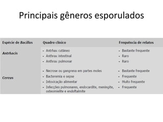 Principais gêneros esporulados