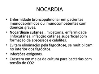 NOCARDIAEnfermidade broncopulmonar em pacientes imunodeprimidos ou imunocompetentes com doenças graves.Nocardiosecutanea: micetoma, enfermidadelinfocutânea, infecçãocutânea superficial comformação de abscessos e celulites.Evitameliminação pela fagocitose, se multiplicam no interior dos fagócitos. Infecções exógenas.Crescememmeios de cultura para bactériascomtensão de CO2