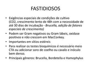 FASTIDIOSOSExigências especiais de condições de cultivo (CO2, crescimento lento de 48h com a necessidade de até 30 dias de incubação - Brucella, adição de fatores especiais de crescimento)Podem ser Gram negativos ou Gram lábeis, oxidase positivos e não crescem em MacConkey. Importantes em sítios estéreisPara realizar os testes bioquímicos é necessário meio CTA ou adicionar soro de coelho ou cavalo e inóculo bem denso.Principais gêneros: Brucella, Bordetella e Hamophylus