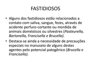 FASTIDIOSOSAlguns dos fastidiosos estão relacionados a contato com saliva, sangue, fezes, através de acidente perfuro-cortante ou mordida de animais domésticos ou silvestres (Pasteurella, Bartonella, Francisella e Brucella).Destaca-se ainda a necessidade de precauções especiais no manuseio de alguns destes agentes pelo potencial patogênico (Brucella e Francisella).