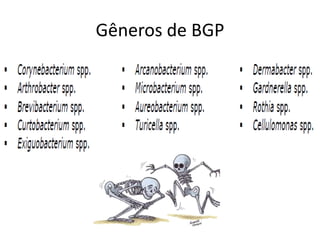 Gêneros de BGP