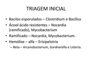 TRIAGEM INICIALBacilos esporulados – Clostridium e BacillusÁcool-ácido resistentes – Nocardia (ramificado), MycobacteriumRamificado – Nocardia, Mycobacterium.Hemólise – alfa – ErisipelotrixBeta – Arcanobacterium, Gardnerella e Listeria.