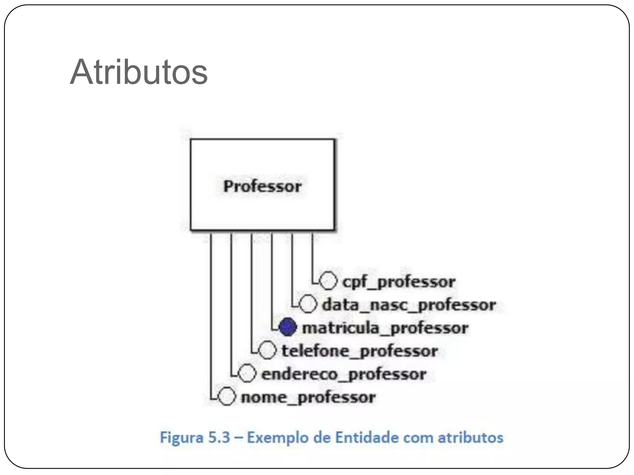 Atributos
 