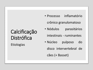 Calcificação
Distrófica
• Processo inflamatório
crônico granulomatoso
• Nódulos parasitários
intestinais - ruminantes
• Núcleo pulposo do
disco intervertebral de
cães (+ Basset)
Etiologias
 