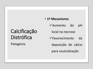 Calcificação
Distrófica
• 1º Mecanismo
Aumento do pH
local na necrose
Favorecimento da
deposição de cálcio
para neutralização
Patogenia
 