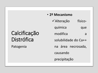 Calcificação
Distrófica
• 2º Mecanismo
Alteração físico-
química que
modifica a
solubilidade do Ca++
na área necrosada,
causando
precipitação
Patogenia
 