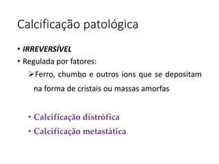 Calcificação patológica
• IRREVERSÍVEL
• Regulada por fatores:
Ferro, chumbo e outros íons que se depositam
na forma de cristais ou massas amorfas
• Calcificação distrófica
• Calcificação metastática
 