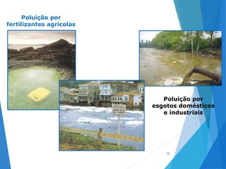 20
Poluição por
fertilizantes agrícolas
Poluição por
esgotos domésticos
e industriais
 